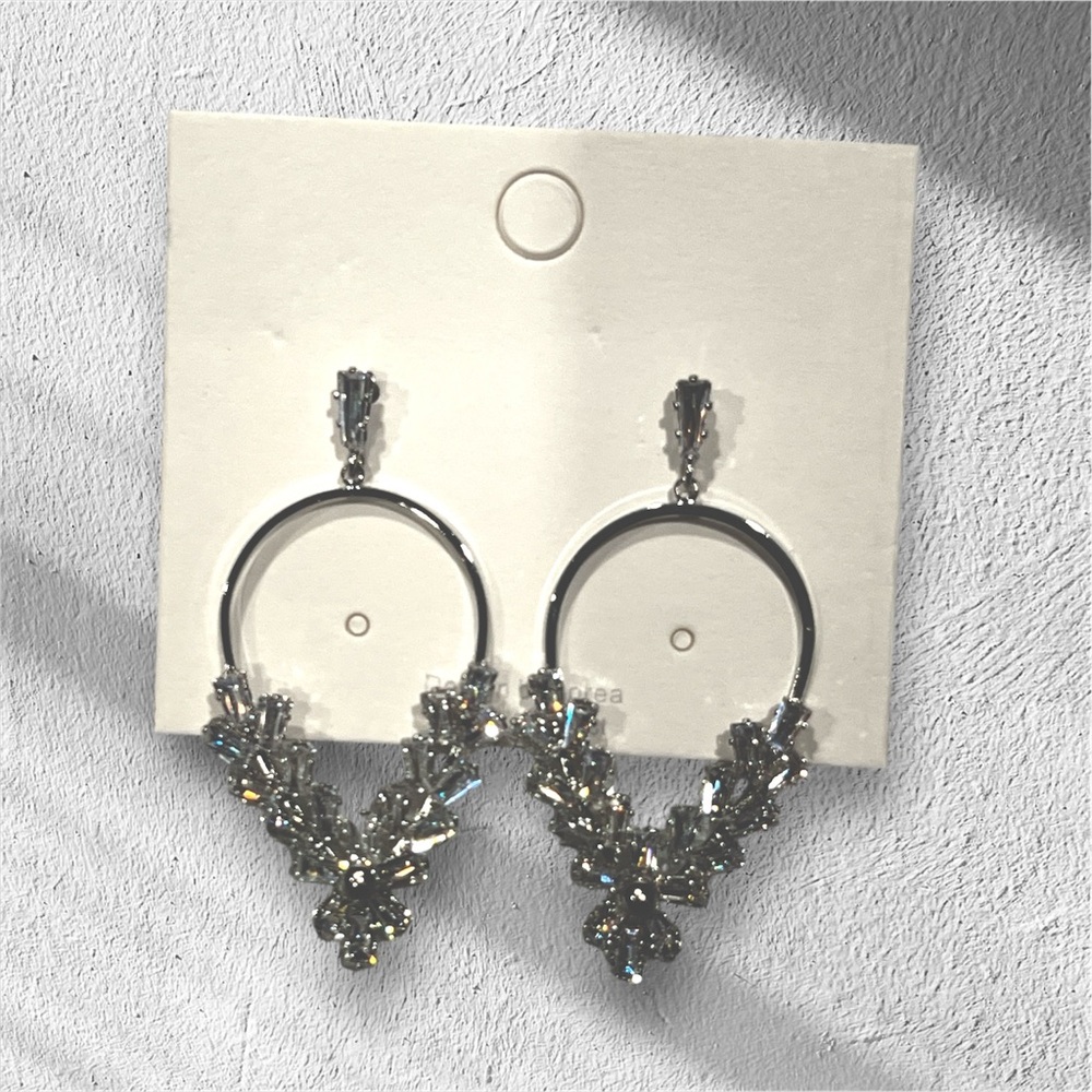 Elegant Silver Hoop Earrings
